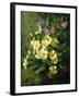 Spring Flowers-Annie Feray Mutrie-Framed Giclee Print