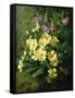 Spring Flowers-Annie Feray Mutrie-Framed Stretched Canvas