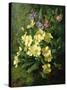 Spring Flowers-Annie Feray Mutrie-Stretched Canvas