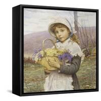 Spring Flowers-Edwin Bale-Framed Stretched Canvas