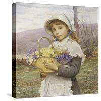 Spring Flowers-Edwin Bale-Stretched Canvas