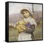 Spring Flowers-Edwin Bale-Framed Stretched Canvas