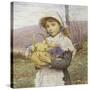 Spring Flowers-Edwin Bale-Stretched Canvas