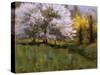 Spring Flowers-Michael Budden-Stretched Canvas