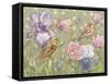 Spring Flutter-Maria Rytova-Framed Stretched Canvas