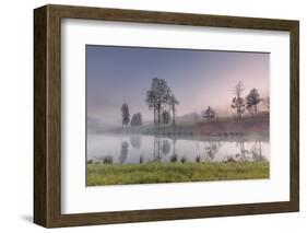 spring fog-Belinda Shi-Framed Photographic Print