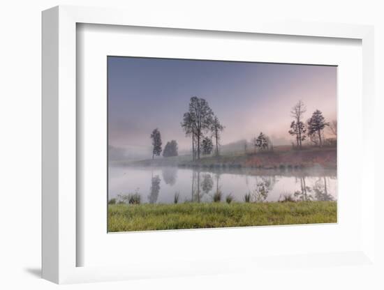 spring fog-Belinda Shi-Framed Photographic Print