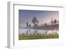 spring fog-Belinda Shi-Framed Photographic Print