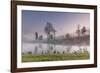 spring fog-Belinda Shi-Framed Photographic Print