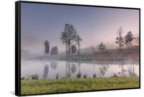 spring fog-Belinda Shi-Framed Stretched Canvas