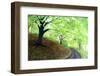 Spring Foliage-Herb Dickinson-Framed Photographic Print