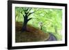 Spring Foliage-Herb Dickinson-Framed Photographic Print