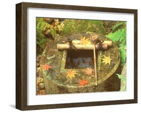 Spring for Tea Ceremony, Ryanji Temple, Kyoto, Japan-Rob Tilley-Framed Photographic Print