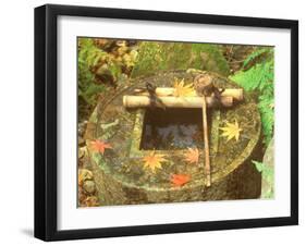 Spring for Tea Ceremony, Ryanji Temple, Kyoto, Japan-Rob Tilley-Framed Photographic Print