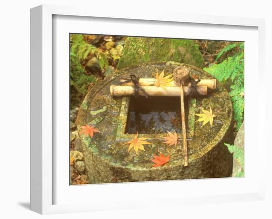 Spring for Tea Ceremony, Ryanji Temple, Kyoto, Japan-Rob Tilley-Framed Photographic Print