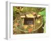 Spring for Tea Ceremony, Ryanji Temple, Kyoto, Japan-Rob Tilley-Framed Photographic Print