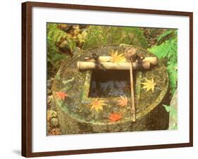 Spring for Tea Ceremony, Ryanji Temple, Kyoto, Japan-Rob Tilley-Framed Photographic Print