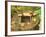 Spring for Tea Ceremony, Ryanji Temple, Kyoto, Japan-Rob Tilley-Framed Photographic Print