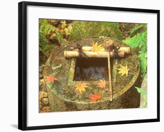 Spring for Tea Ceremony, Ryanji Temple, Kyoto, Japan-Rob Tilley-Framed Photographic Print