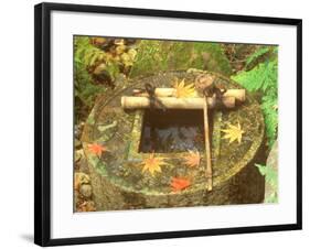 Spring for Tea Ceremony, Ryanji Temple, Kyoto, Japan-Rob Tilley-Framed Photographic Print