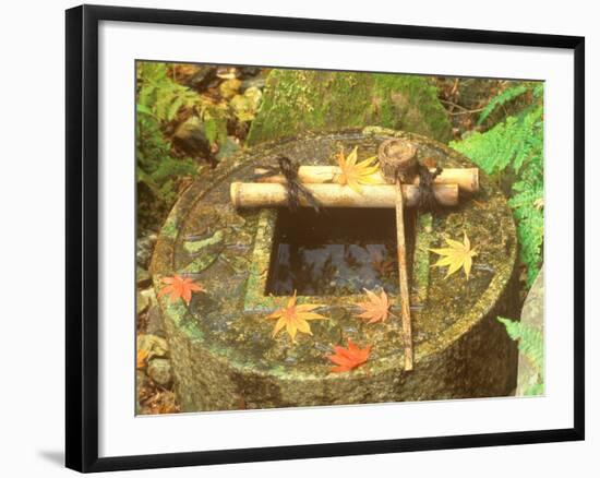 Spring for Tea Ceremony, Ryanji Temple, Kyoto, Japan-Rob Tilley-Framed Photographic Print