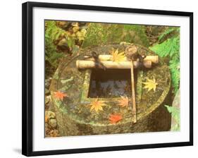 Spring for Tea Ceremony, Ryanji Temple, Kyoto, Japan-Rob Tilley-Framed Photographic Print