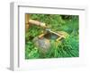 Spring for Tea Ceremony, Sanzen-in Temple, Kyoto, Japan-Rob Tilley-Framed Photographic Print