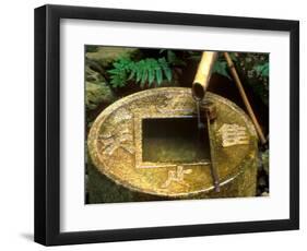 Spring for Tea Cermony, Ryoanji, Kyoto, Japan-Rob Tilley-Framed Photographic Print