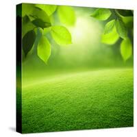 Spring Forest Background-Iakov Kalinin-Stretched Canvas