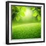 Spring Forest Background-Iakov Kalinin-Framed Photographic Print