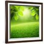 Spring Forest Background-Iakov Kalinin-Framed Photographic Print