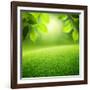 Spring Forest Background-Iakov Kalinin-Framed Photographic Print