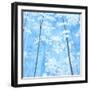 Spring Forest I-Herb Dickinson-Framed Photographic Print