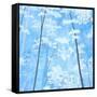 Spring Forest I-Herb Dickinson-Framed Stretched Canvas