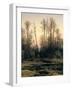 Spring Forest-null-Framed Giclee Print