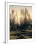 Spring Forest-null-Framed Giclee Print
