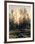 Spring Forest-null-Framed Giclee Print