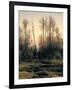 Spring Forest-null-Framed Giclee Print