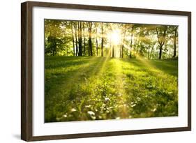 Spring Forest-g_peshkova-Framed Photographic Print