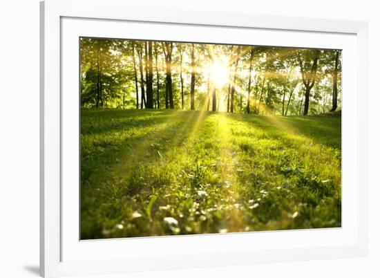 Spring Forest-g_peshkova-Framed Photographic Print