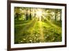 Spring Forest-g_peshkova-Framed Photographic Print