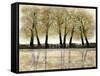 Spring Forest-Doris Charest-Framed Stretched Canvas