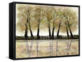 Spring Forest-Doris Charest-Framed Stretched Canvas