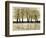 Spring Forest-Doris Charest-Framed Art Print