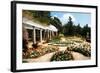 Spring Formality I-Alan Hausenflock-Framed Photographic Print