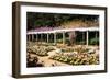 Spring Formality II-Alan Hausenflock-Framed Photographic Print