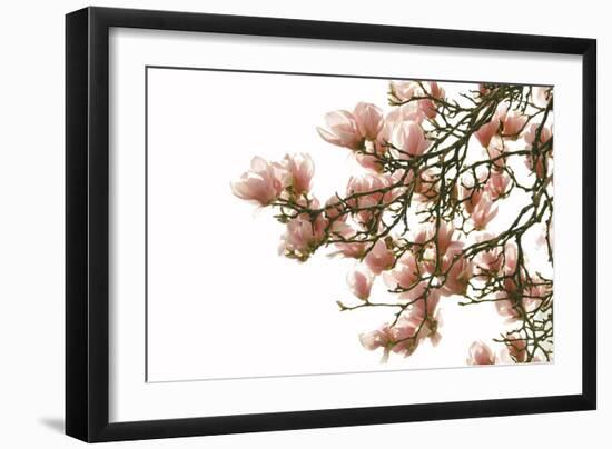 Spring Fresh - Flowery-Carina Okula-Framed Giclee Print