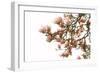 Spring Fresh - Flowery-Carina Okula-Framed Giclee Print