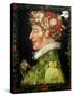 Spring, from a Series Depicting the Four Seasons, 1573-Giuseppe Arcimboldo-Stretched Canvas