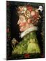 Spring, from a Series Depicting the Four Seasons, 1573-Giuseppe Arcimboldo-Mounted Giclee Print